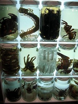 มองให้อาร์ท 61