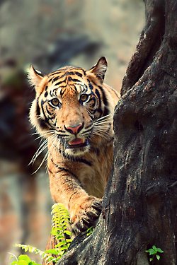 มองให้อาร์ท 62