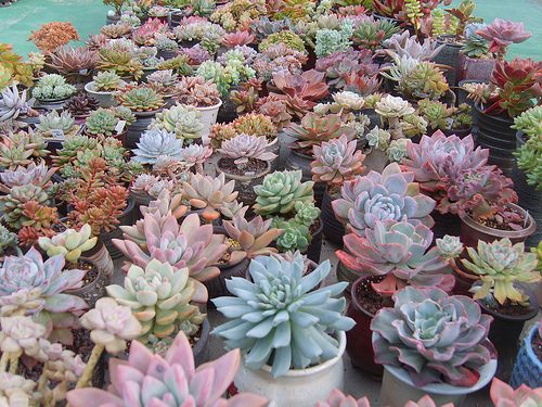 มองให้อาร์ท 62