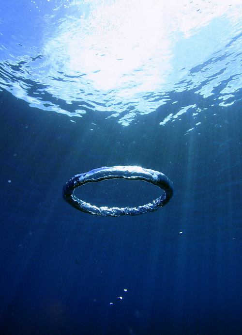 มองให้อาร์ท 66