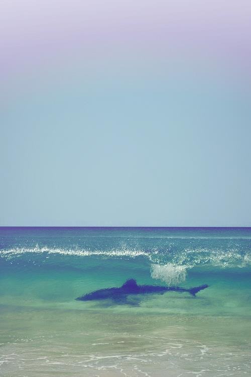 มองให้อาร์ท 66