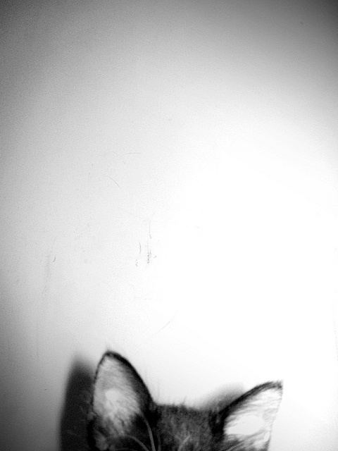 มองให้อาร์ท 66