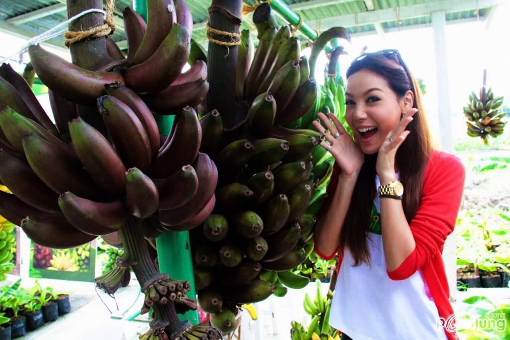 สาวหยกโดนแอมแทงแล้ว*-*