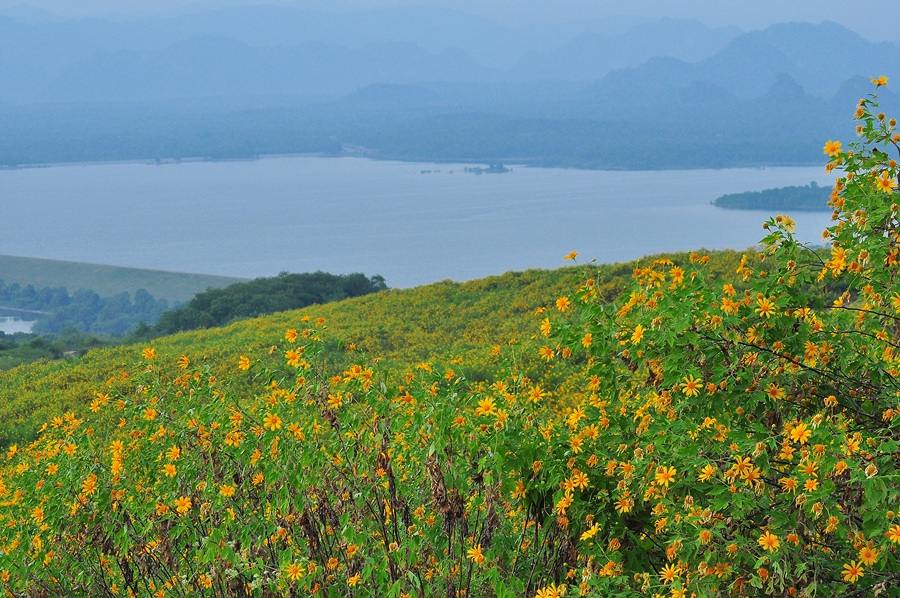 แม่เมาะ จังหวัดลำปาง