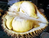 แม่ สาลี่  เล่นได้ แบบว่า น่าตบ มาก ไปไหน มาไหน เกือบโดน ทุเรียน