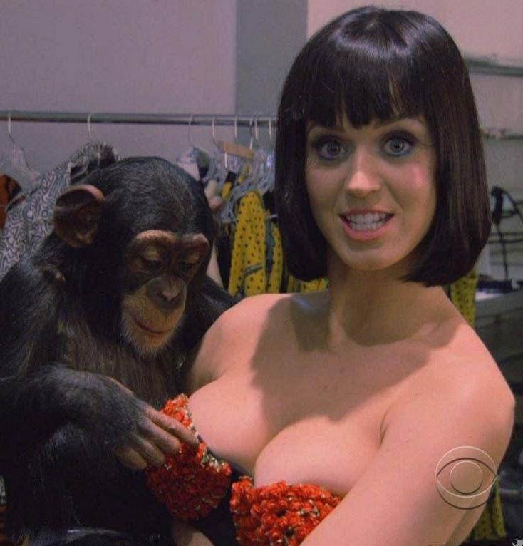 เคที เพอร์รี ส่องอึ๋ม นักร้องสาวฮอต Katy Perry บึ้มสุดๆ