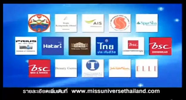 ผู้สนับสนุนอย่างเป็นทางการ