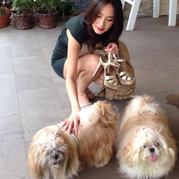 Instagram Aum Patchrapa !!