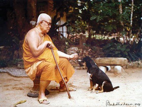 ท่านพุทธทาสภิกขุ