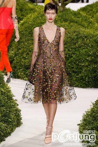 CHRISTIAN DIOR COTURE Spring/Summer 2013