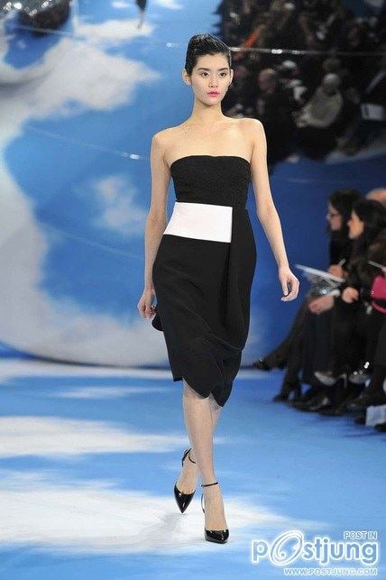 DIOR Autumn/Winter 2013/2014