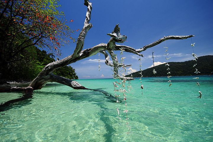 เกาะหลีเป๊ะ อาดัง ราวี ตะรุเตา สวรรค์กลางทะเลอันดามัน