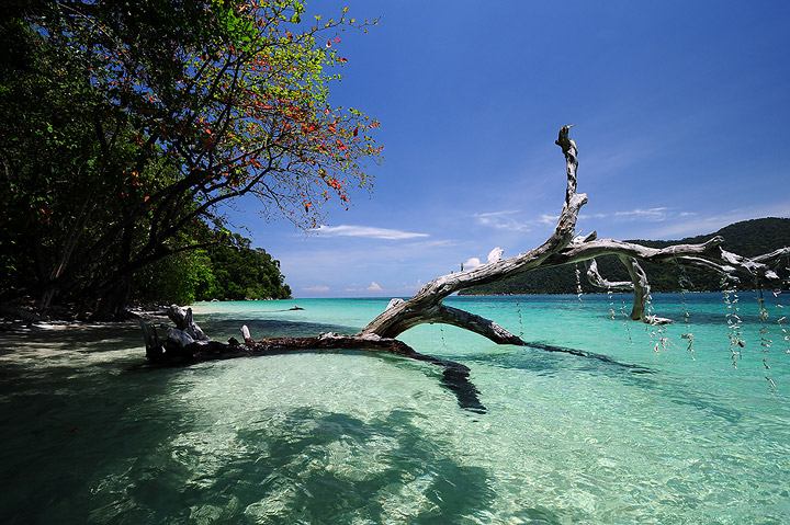 เกาะหลีเป๊ะ อาดัง ราวี ตะรุเตา สวรรค์กลางทะเลอันดามัน