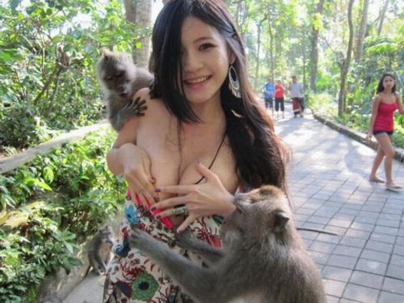 ลิงทะลึ่ง