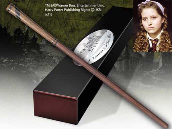 ไม้กายสิทธิ์ แฮร์รี่ พอตเตอร์