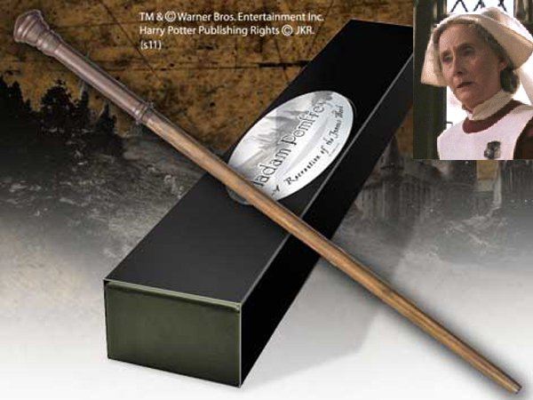 ไม้กายสิทธิ์ แฮร์รี่ พอตเตอร์