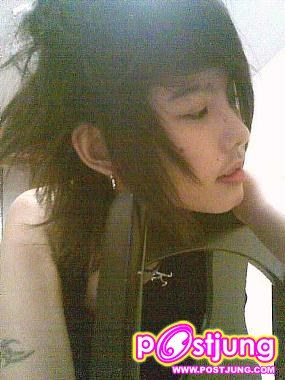 ป่าน