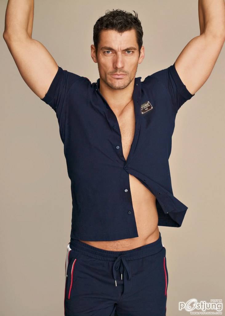 เหมาๆหมด