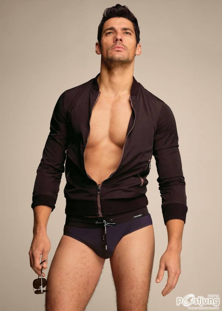 เหมาๆหมด