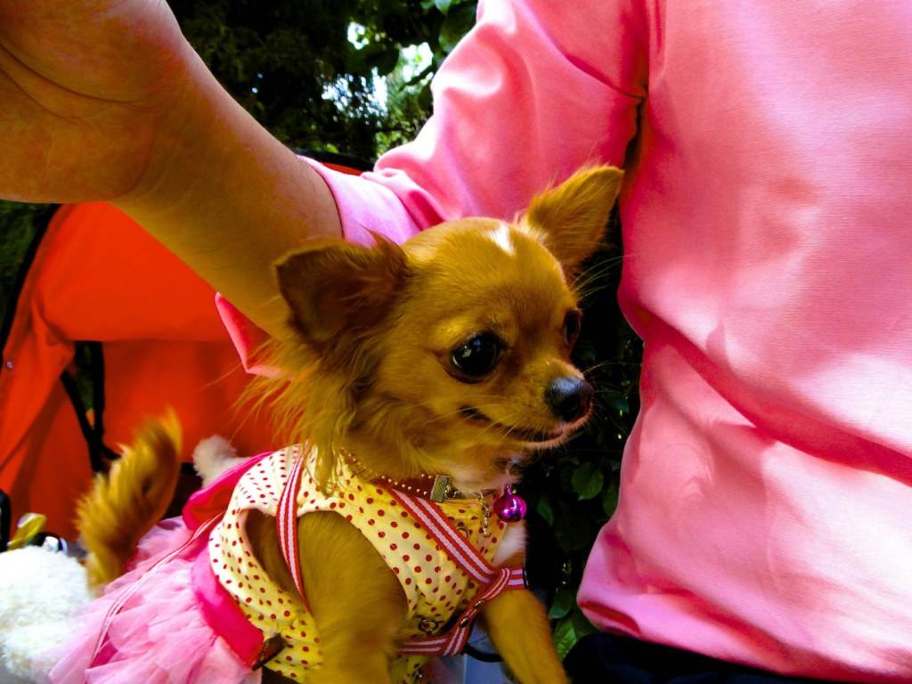 น้องปารีส 2