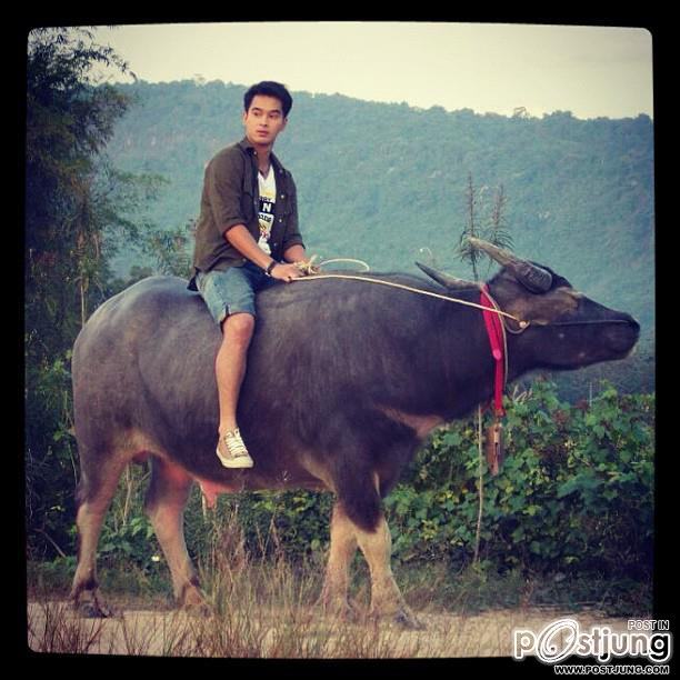 ลิงจั๊กๆ