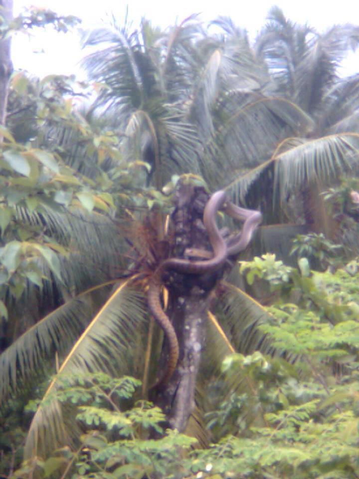 ตกใจ หมด <>