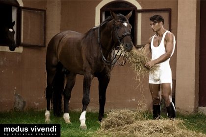 New Modus Vivendi line : Stablehand : HQ images
