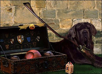 เขี้ยว หมาของแฮกริด