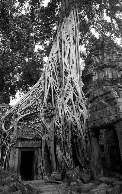 นครวัด (Angkor Wat)