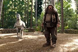 ฮิปโปกริฟฟ์ บัคบีค