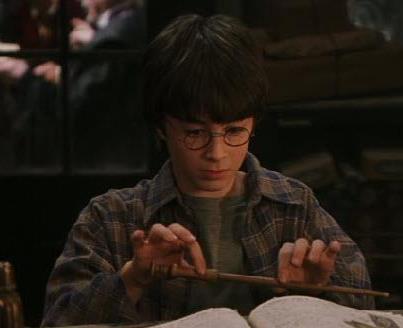 แฮร์รี่เจอไม้กายสิทธิ์อันที่ใช่สำหรับเขา