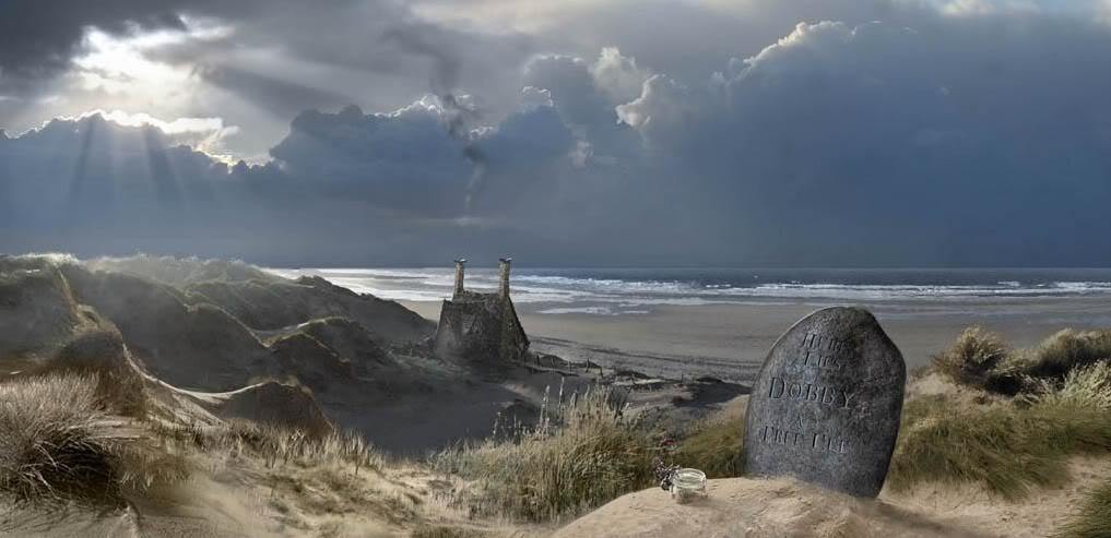 การตายของด๊อบบี้ -