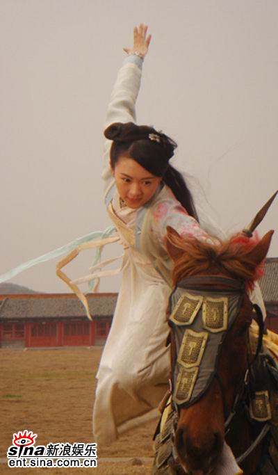 Saving General Yang 《忠烈杨家将》 (2013)