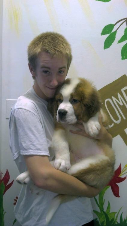 st. bernard...
