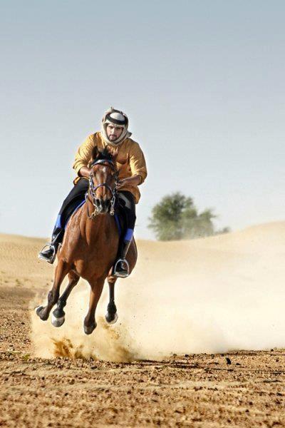 ฟ้าจรดทราย ในความฝัน (ลมๆ แล้งๆ)อิอิ