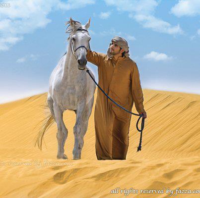 ฟ้าจรดทราย ในความฝัน (ลมๆ แล้งๆ)อิอิ