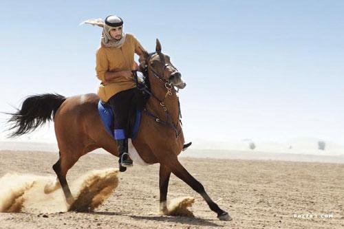 ฟ้าจรดทราย ในความฝัน (ลมๆ แล้งๆ)อิอิ