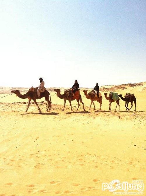 ฟ้าจรดทราย ในความฝัน (ลมๆ แล้งๆ)อิอิ