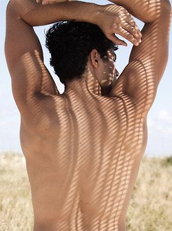 ฝันถึงหนุ่มหล่อ