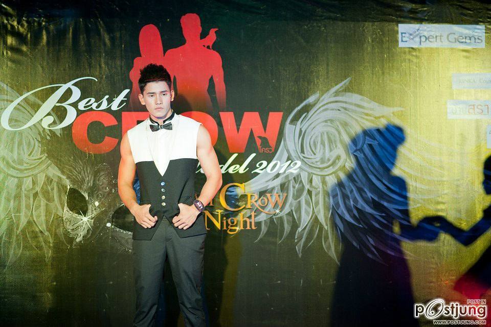 Best crow model2012