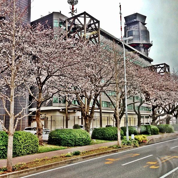 ชมภาพจากกองถ่าย รอยฝันตะวันเดือด ที่ประเทศญี่ปุ่น