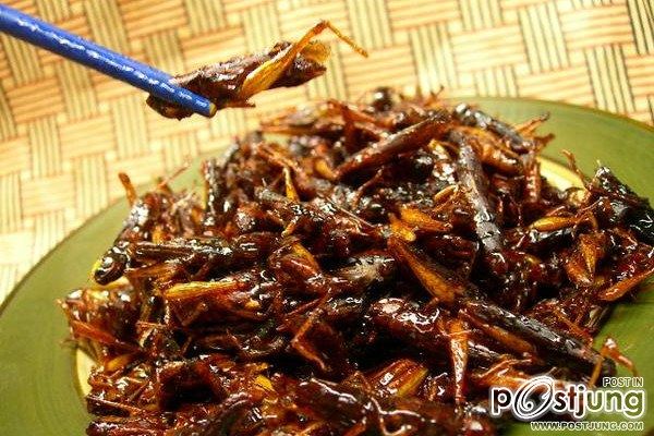 อันดับ 2 inago no Tsukudani ตั๊กแตนทอด กรอบมันได้แคลเซี่ยม แต่ดูธรรมดาสำหรับเราเหมือนกันแฮะ