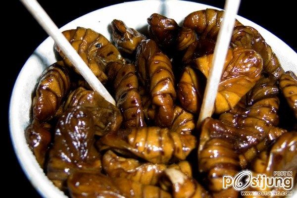 อันดับที่ 1 Zazamushi แมลงทอดนั่นเอง ไม่แปลกอีกเหมือนกันสำหรับคนไทย แมลงทอดของญี่ปุ่นส่วนมากจะจับมาจ