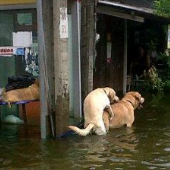 น่ารัก....