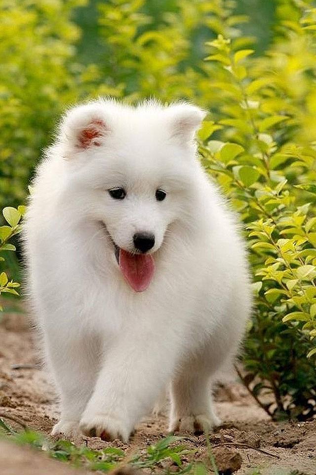 น่ารัก....