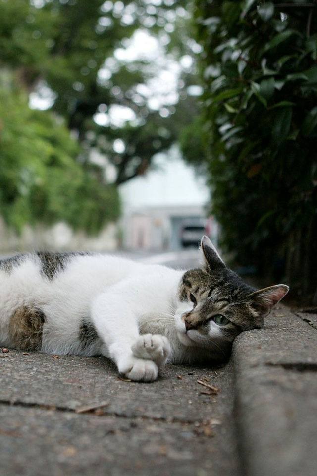 น่ารัก....