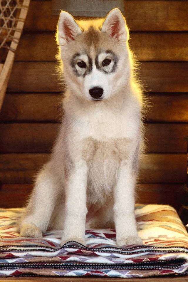 น่ารัก....
