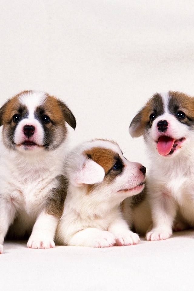 น่ารัก....
