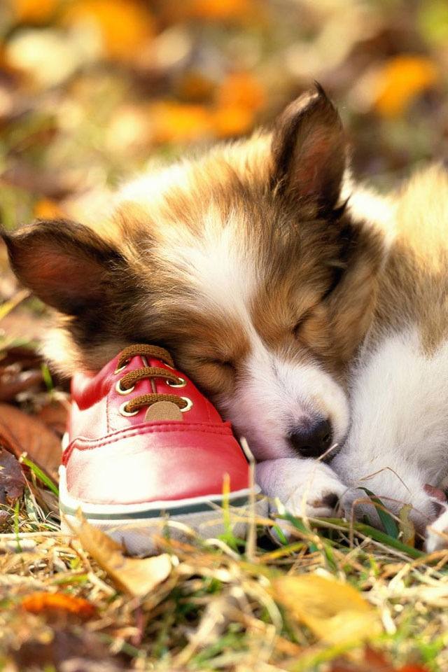 น่ารัก....