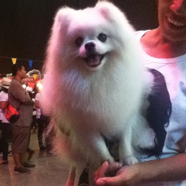 งานปาร์ตี้ พี่อั้ม พัชราภา ^^